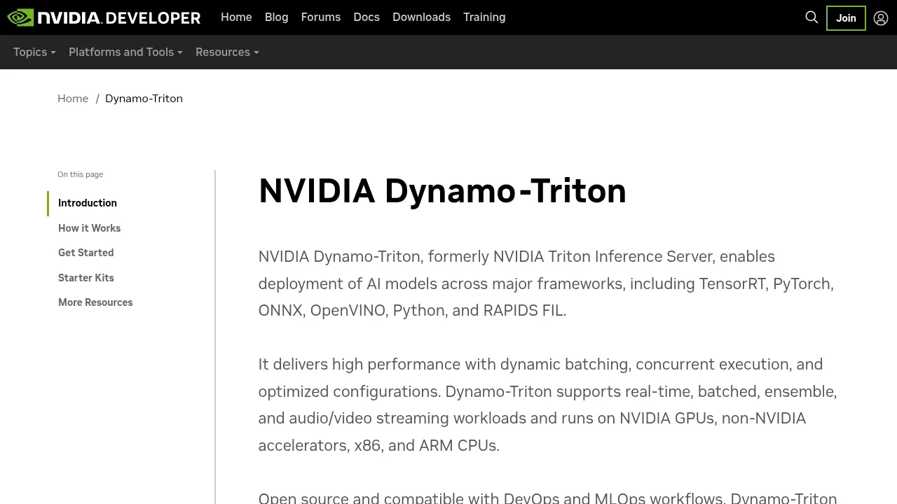 Screenshot of Triton Inference Server website