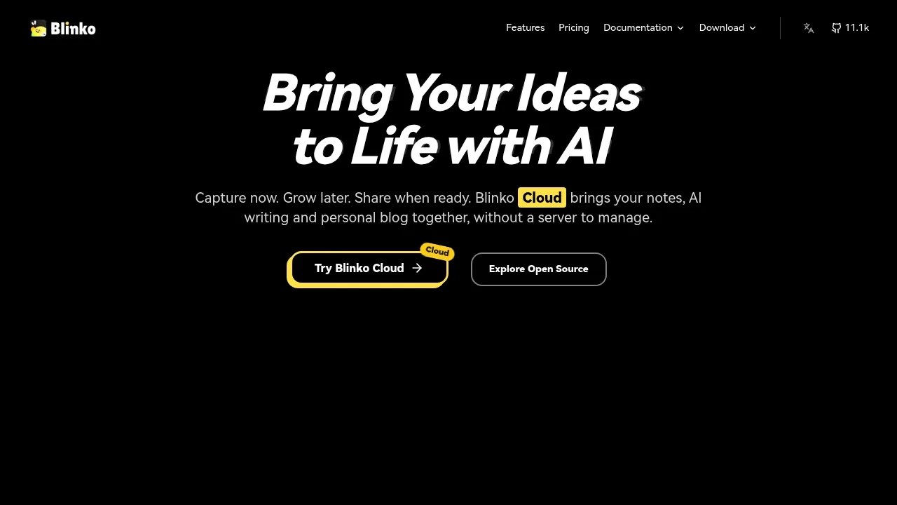 Screenshot of Blinko website