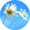 Favicon of Pyramid Flow