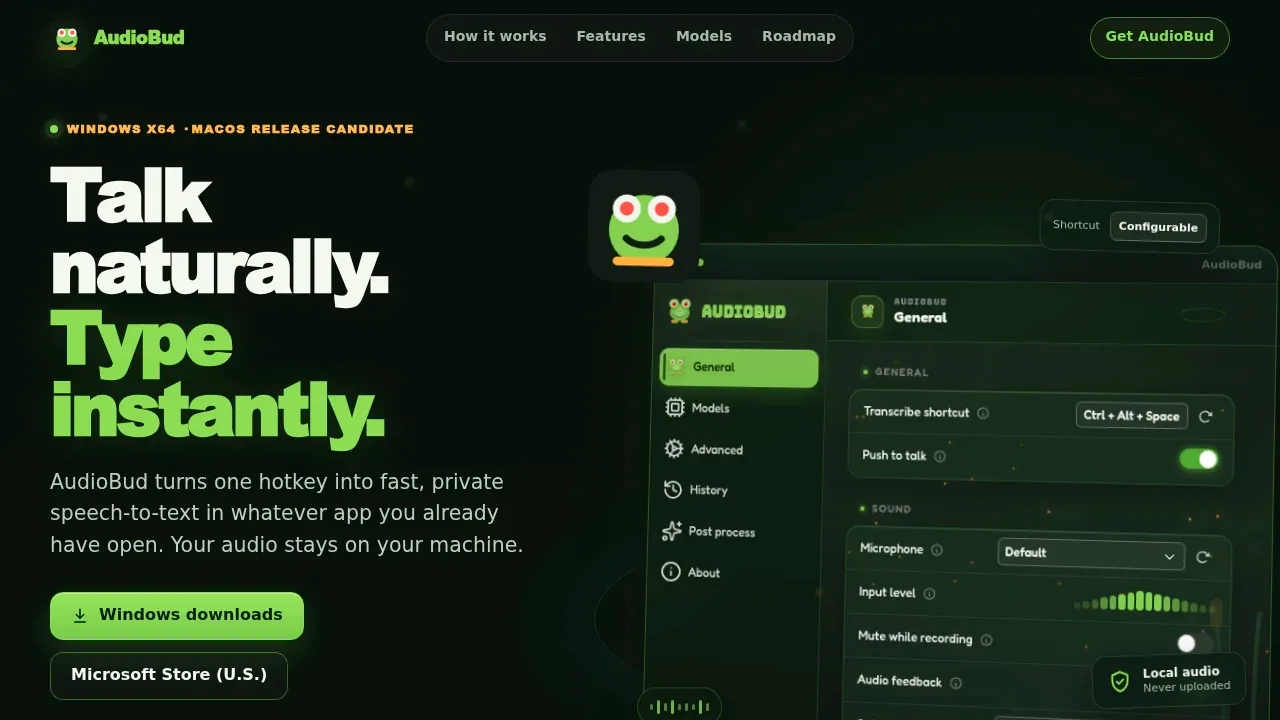Screenshot of AudioBud website