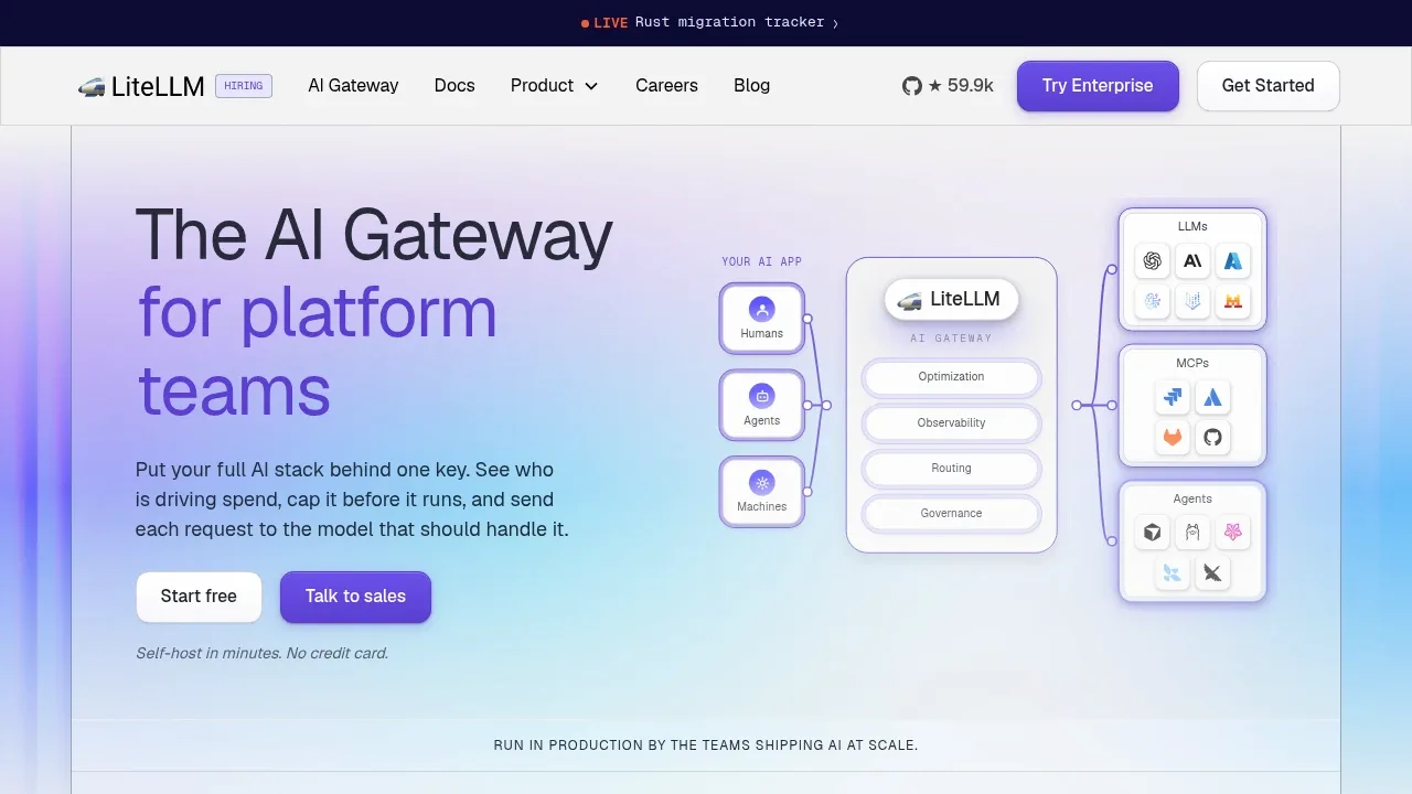 Screenshot of LiteLLM website