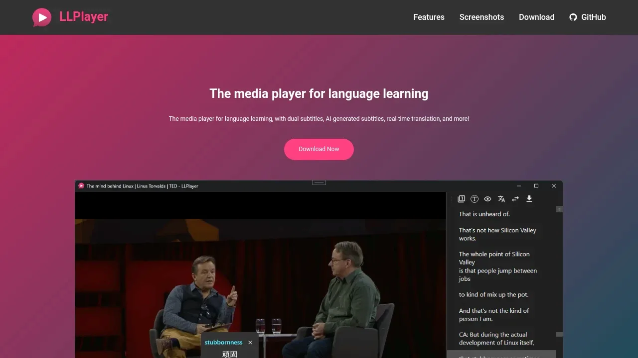 Screenshot of LLPlayer website