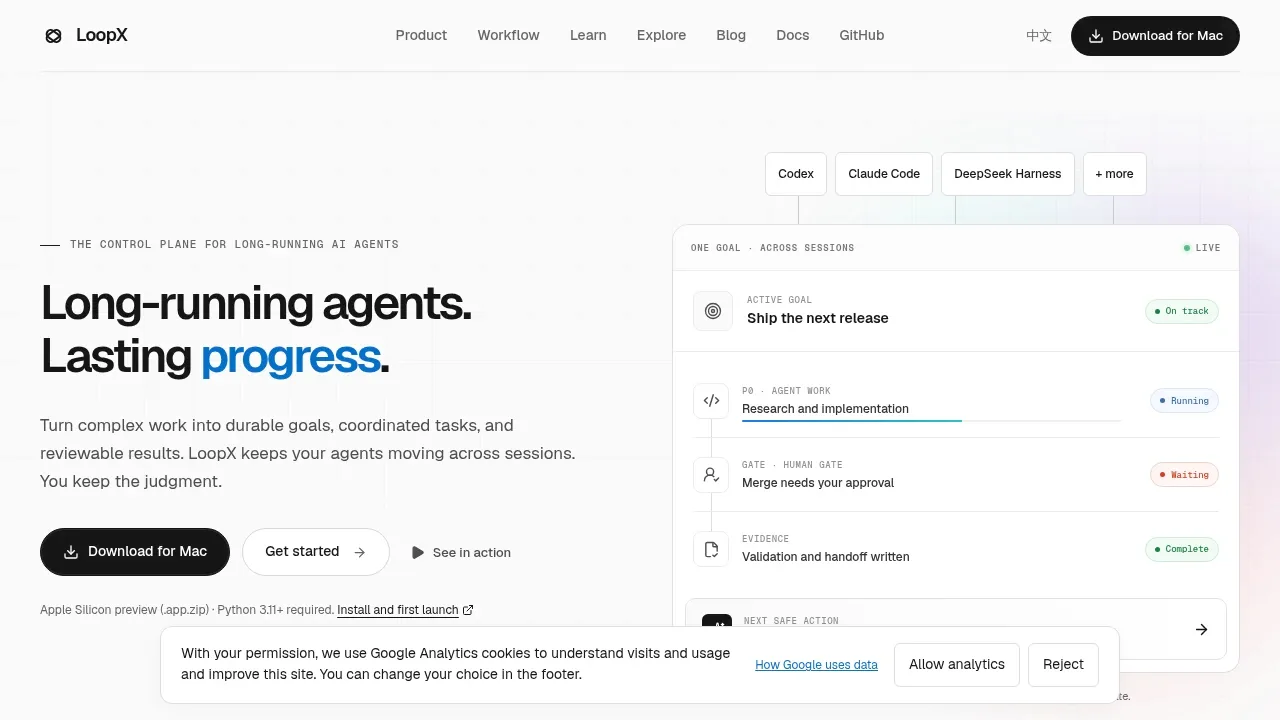 Screenshot of LoopX website