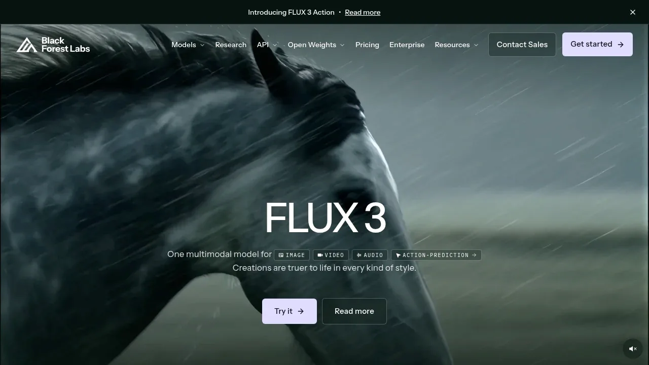 Screenshot of FLUX.1 website