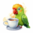Favicon of LangChain4j