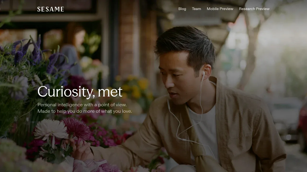 Screenshot of Sesame CSM website