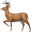 Favicon of DeerFlow