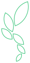 Favicon of BambooAI