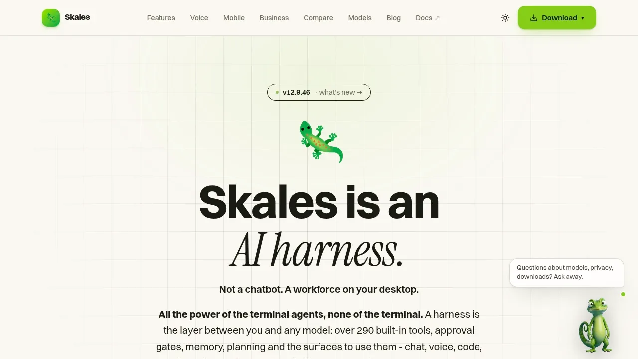 Screenshot of Skales website