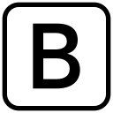 Favicon of Bionic GPT