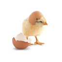 Favicon of smol developer