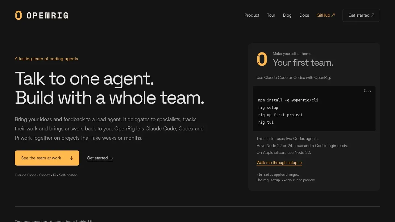 Screenshot of OpenRig website