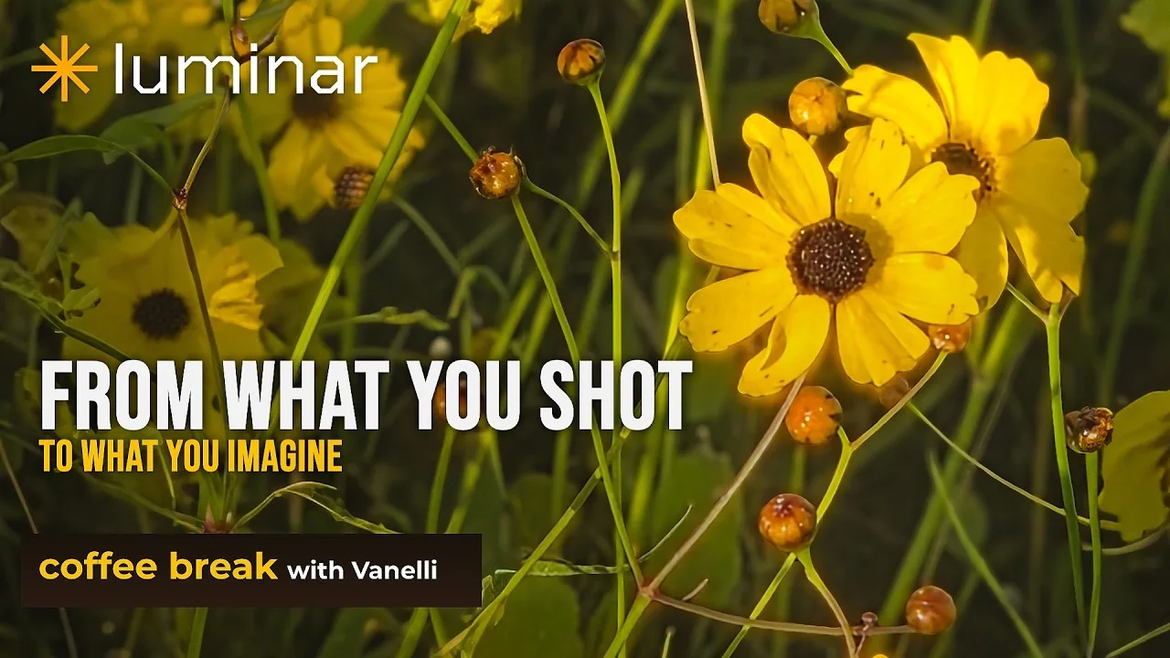 Luminar Neo tutorial: edit flower photos from mobile