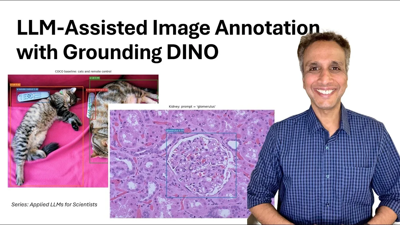 Grounding DINO tutorial: text detection in Google Colab