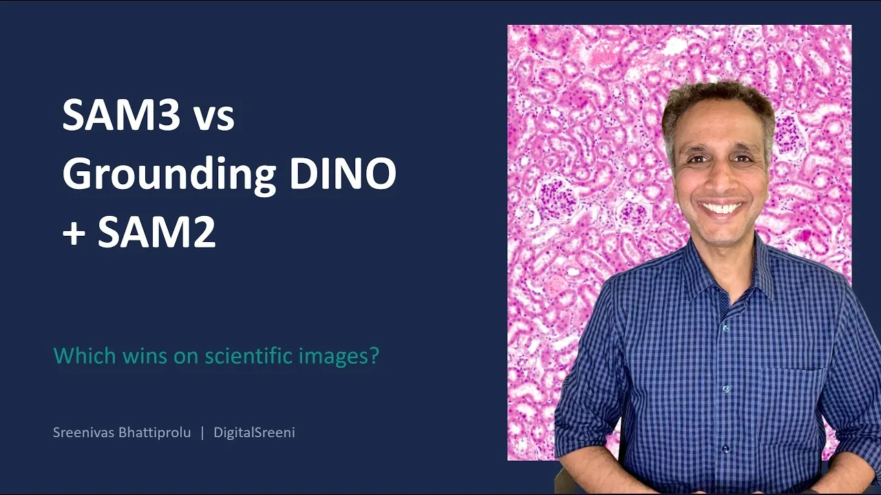 SAM3 vs Grounding DINO + SAM2: histology tests and setup