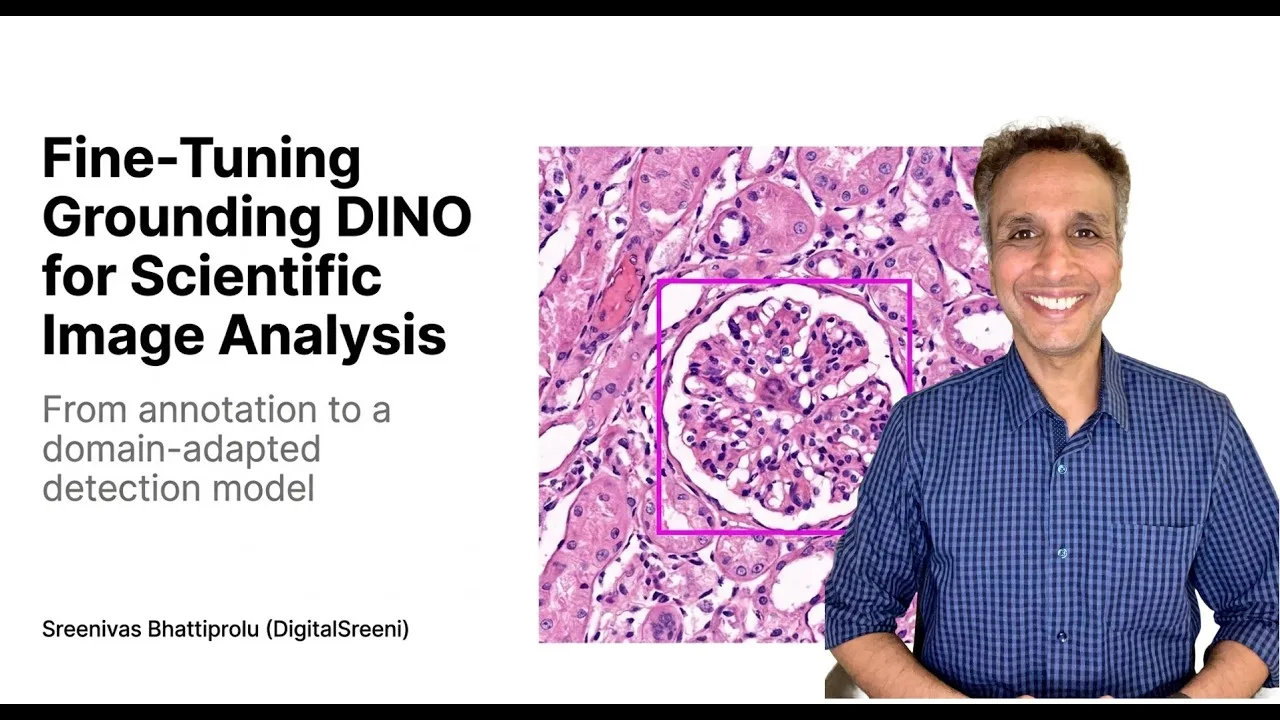 Grounding DINO fine-tuning for kidney image analysis
