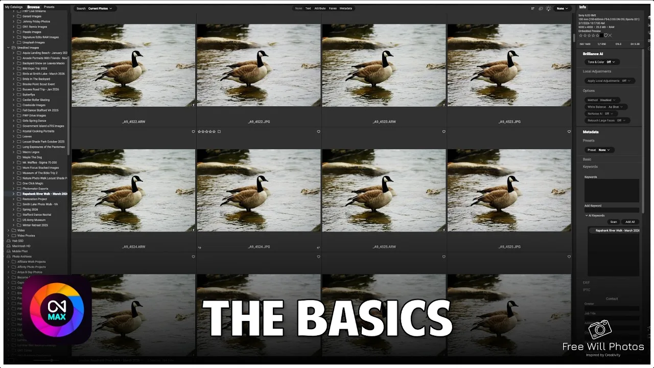 ON1 Photo RAW 2026 tutorial: organize, edit and export